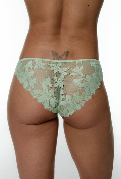 Braga Clásica Roman - Quiet green-Black Limba