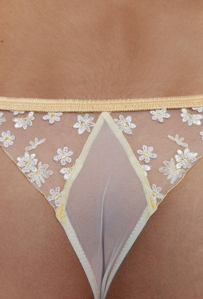 Braga brasileña Kira - Pale yellow-Black Limba